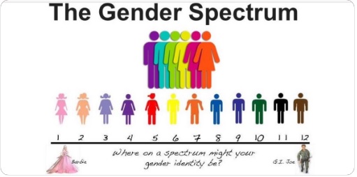 the gender spectrum